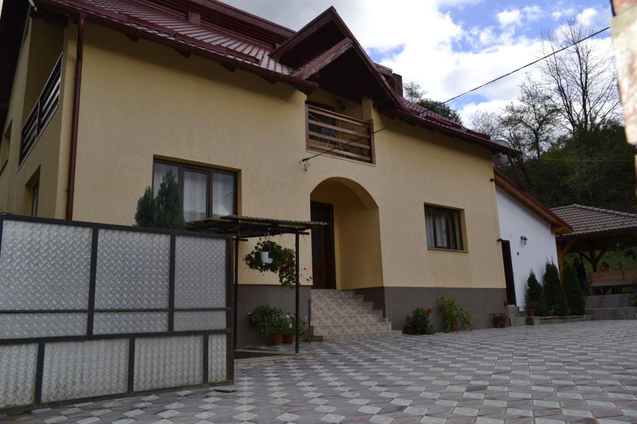 Pensiunea Malinul Bîrsana Εξωτερικό φωτογραφία