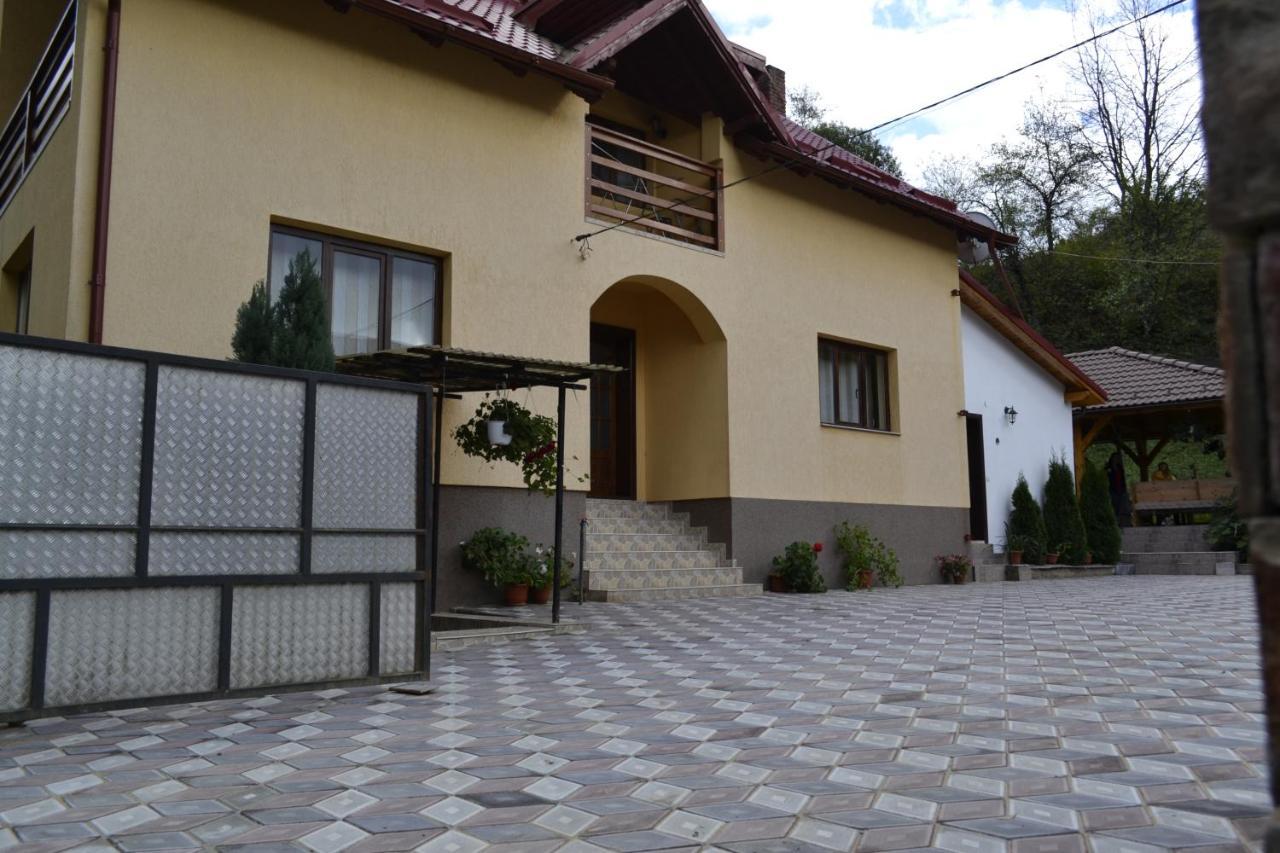 Pensiunea Malinul Bîrsana Εξωτερικό φωτογραφία